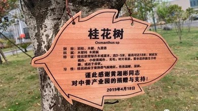 “種”希望！綠化中普，共建美麗家園